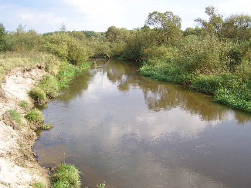 4 Odonatrix 2(Supl. 1), październik 2006 Fot. 3.