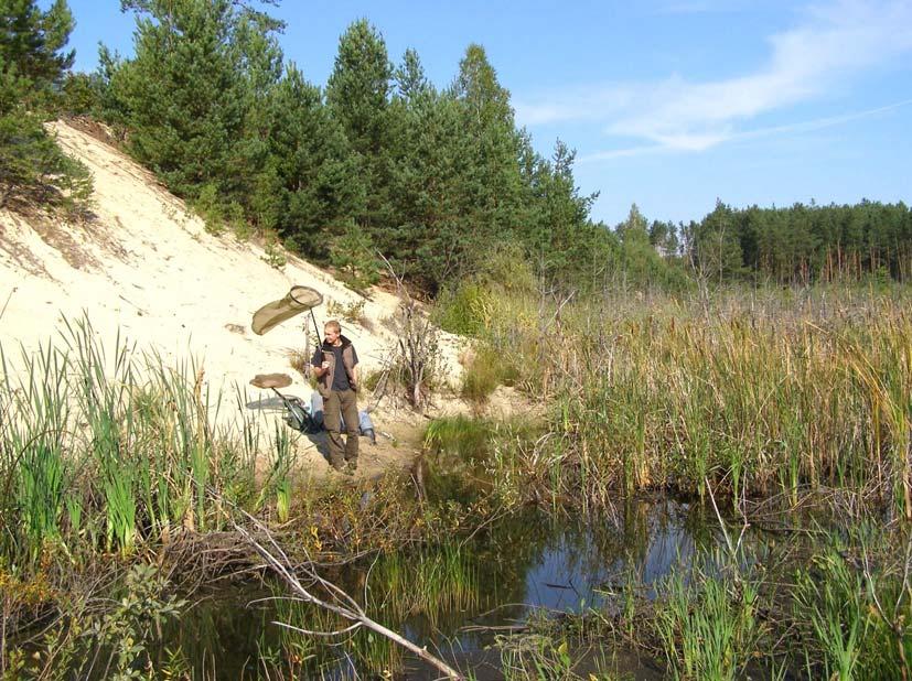 Odonatrix 2(Supl. 1), październik 2006 5 