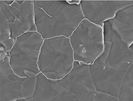 554 POLIMERY 2015, 60,nr9 tarcia r = 8 mm, prêdkoœæ obrotowa przeciw (tarczy) n = 0,1 m/s, œrednica powierzchni czo³owej = 3 mm, si³a obci¹ aj¹ca próbkê F 7 N.