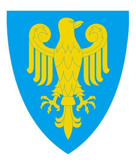 Załącznik do Uchwały Nr XLV/313/18 Rady Powiatu Opolskiego z dnia 18 października 2018 r.