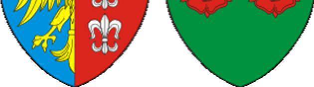 organizacjami pozarządowymi oraz podmiotami, o