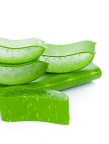 FEDERICO MAHORA / ALOE VERA 69 Aloes to prawdziwe bogactwo witamin A, B, C i E oraz minerałów takich jak cynk, selen czy miedź.