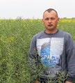 ARCHIBALD F1 Plon nasion 117% wzorca w doświadczeniach PDO COBORU 2017 Dobre przezimowanie w sezonie 2015/2016 79 % żywych roślin (doświadczenia rozpoznawcze COBORU) Odmiana uniwersalna, doskonale
