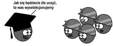 limfocytów w grasicy (zachodzi głównie w korze zrazików) komórka gwiaździsta prezentująca MHC 3.