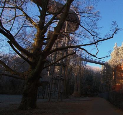ZWIEDZANIE Z PRZEWODNIKIEM BUDYNKÓW ZAKŁADÓW LECZNICZYCH W BEELITZ Codzienność w zakładzie leczniczym w Beelitz wycieczka po trzech różnych budynkach historycznych z dokładnymi informacjami co do ich