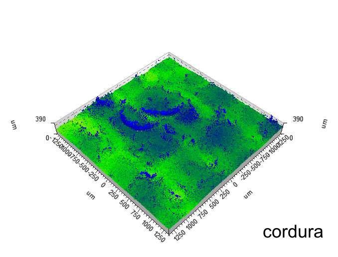 Obrazy 3D rekonstruowano z obserwacji w warstwicach co 1,25 µm.