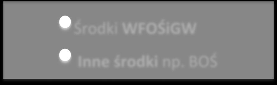 Wsparcie finansowe realizacji przedsięwzięć Środki z funduszy europejskich i zagranicznych Środki Krajowe