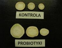 PIETRUSZKA Charakterystyka roślin pietruszki na podstawie dostarczonych prób.