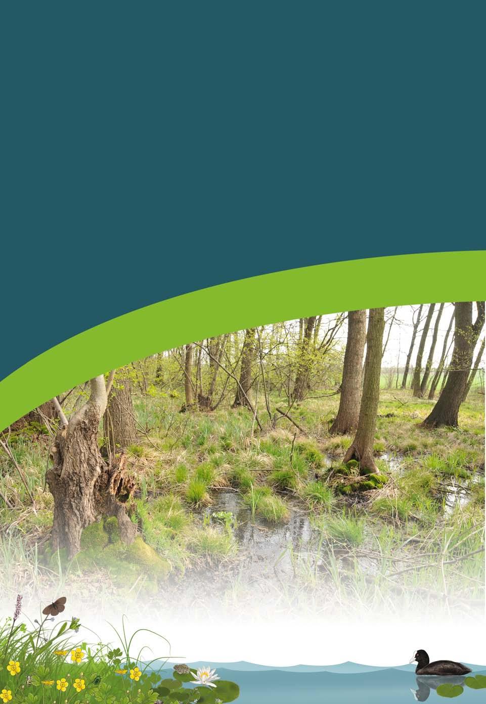 Poprzez lokalne działania można zmniejszać i łagodzić skutki zmian klimatu Środowisko przyrodnicze ma duży, naturalny potencjał łagodzenia zmian klimatu, szczególnie zjawisk związanych z suszą,