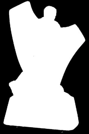 15,90 15,90 15,90 mężczyzna
