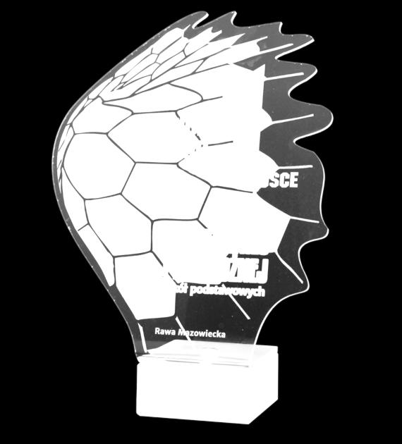 8 z podstawą 10-51-100 >100 48,0 44,10 6,80 Trofeum z