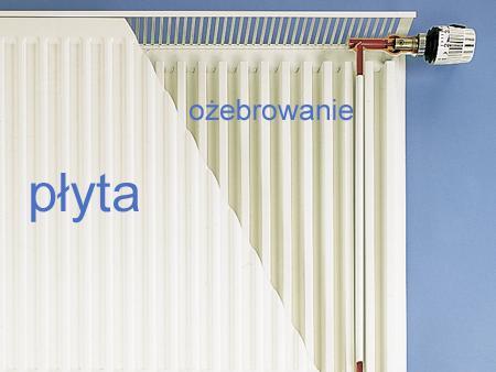 Odbiorniki ciepła Grzejniki konwekcyjne Grzejniki stalowe płytowe -typ 10 - jednopłytowe bez ożebrowania, -typ 11 - jednopłytowe z ożebrowaniem konwekcyjnym -typ 20 - dwupłytowe bez ożebrowania, -typ