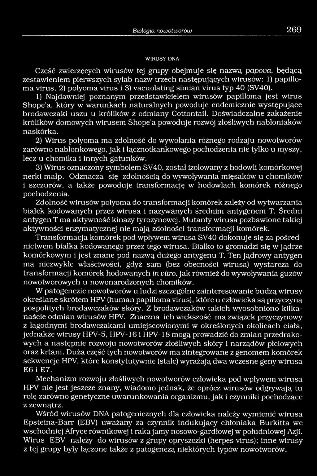 1) Najdawniej poznanym przedstawicielem wirusów papilloma jest wirus Shope a, który w warunkach naturalnych powoduje endemicznie występujące brodawczaki uszu u królików z odmiany Cottontail.