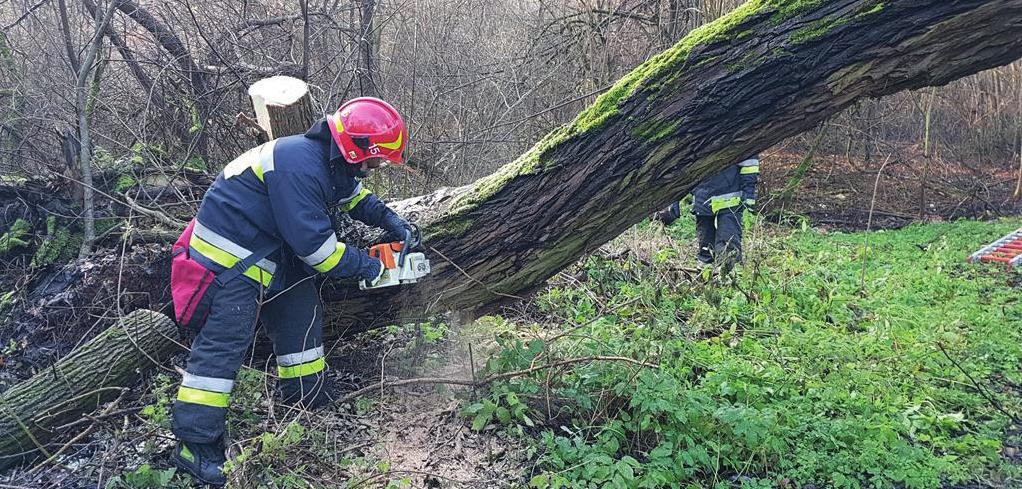 Poradnik postępowania w sytuacjach zagrożeń IV. POSTĘPOWANIE W PRZYPADKU WYSTĄPIENIA ZAGROŻEŃ WYWOŁANYCH SIŁAMI NATURY 1.