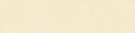 Bleached Oak