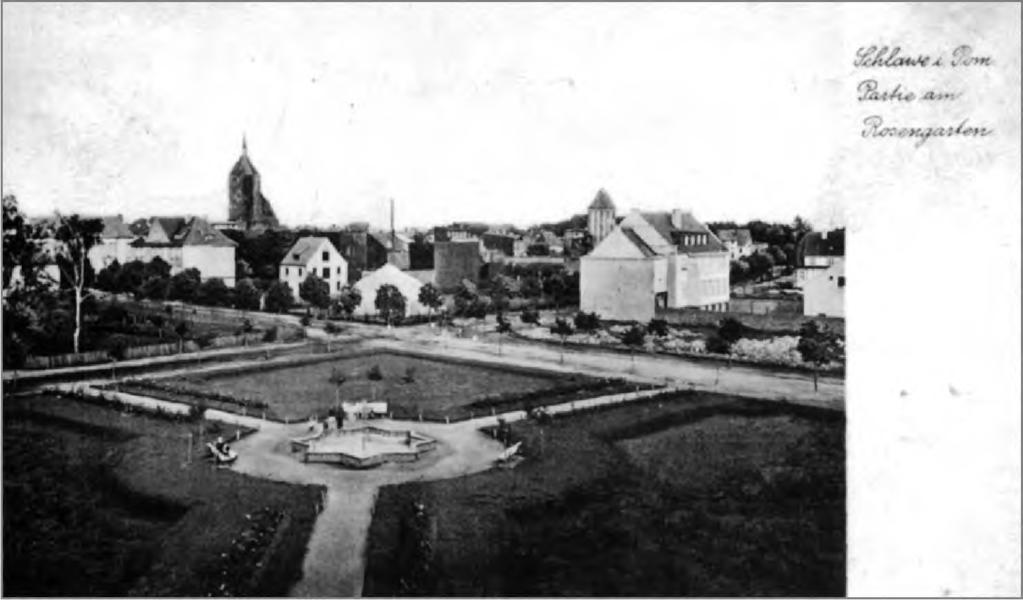230 Ewa Gwiazdowska 2.8.