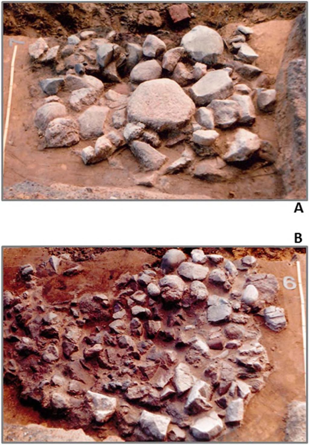 TABLICA I 