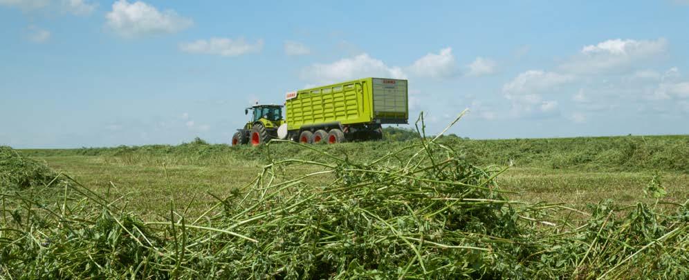 Nośniki energii. Bioenergia Urozmaicona przyszłość. Oprócz kukurydzy i trawy natura ma do zaoferowania wiele innych, bogatych w energię roślin.