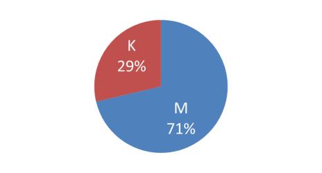 Studentki wyższych szkół technicznych Studentki wyższych szkół technicznych w roku akademickim 2017/2018 stanowiły około 37% wszystkich studiujących na uczelniach tego typu.