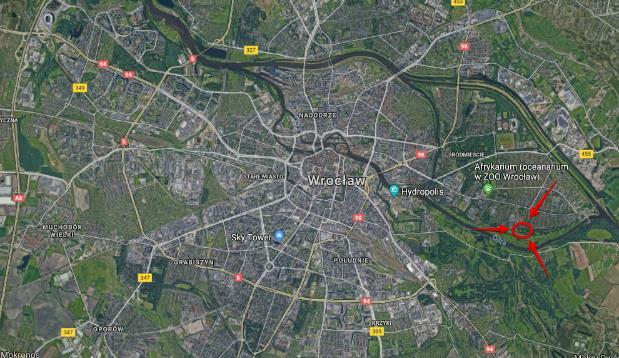 dęby sprawiają, że lokalizacja boisk jest jedną z