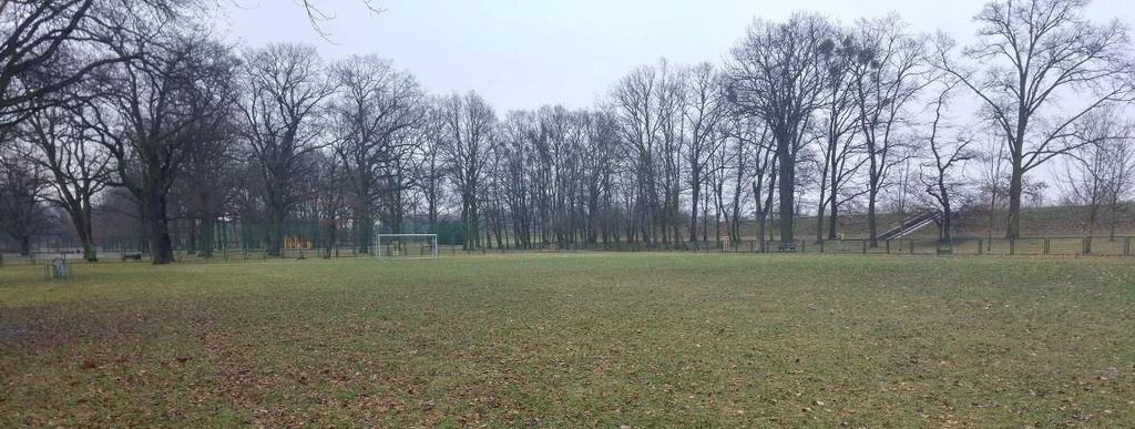 Pole gry jest pełne dziur zrobionych przez wprowadzane przez spacerowiczów psy.