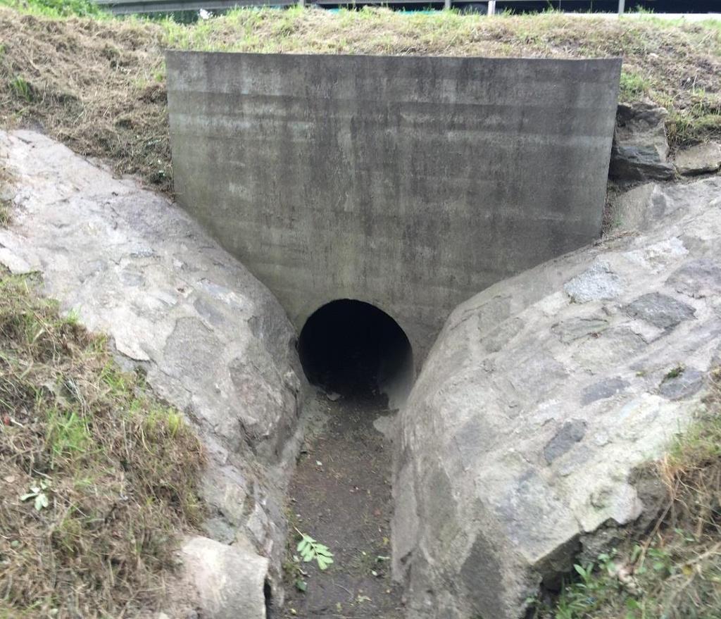 4 m, str. lewa: Ø 0.8 m. Długość 17.5 m. Nośność 30 t. Rb.