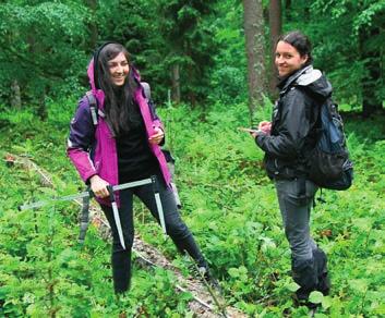Dendrometria, Krynica 2013 zrównoważoną gospodarkę i pomagać zwierzętom. Studia u nas odbywają się w systemie dwustopniowym.