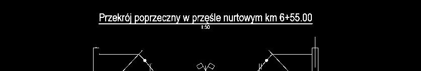 Most tramwajowy nad rzeką Ślęzą we Wrocławiu Przekrój podłużny Przekrój poprzeczny Widok na wiadukt (źródło: