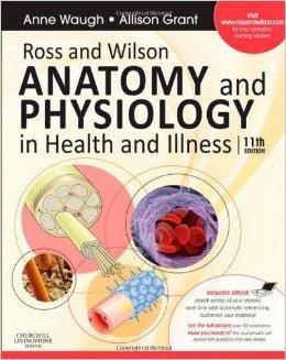Wprowadzenie do anatomii człowieka Podstawowe