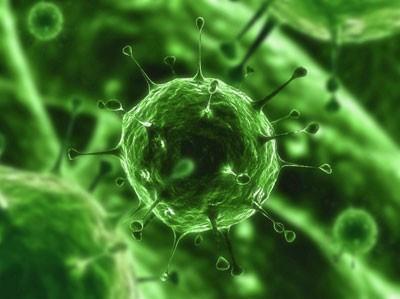 Adnowirus Wirusy DNA, 7 grup (A-G), grupa F (AdV 40 i 41) i G(AdV 52) wywołują zapalenie błony śluzowej przewodu pokarmowego Gorączka, wymioty, biegunka U biorców przeszczepów może mieć miejsce