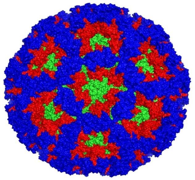 , a pioneering virologist at the National Institutes of Health who discovered norovirus and led a decades-long effort that resulted in the