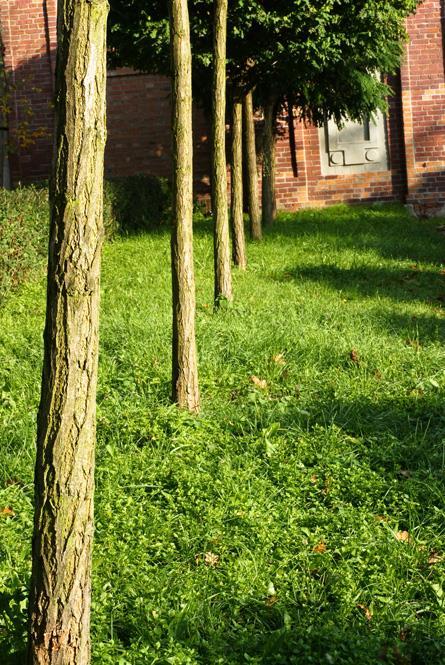 Przesłona i głębia