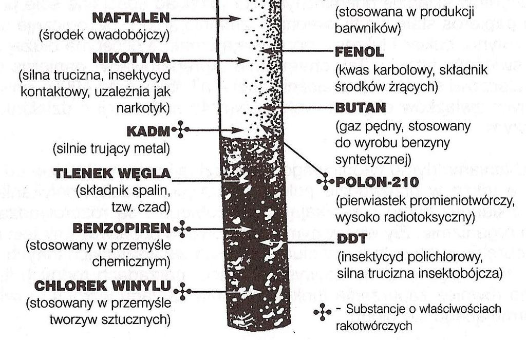 Co zawiera papieros? W dymie tytoniowym występuje ponad 4000 związków chemicznych.