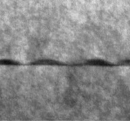 Dla tej struktury wysokość kreski określono jako 3 nm, szerokość WL oszacowano na około pięć razy mniejszą.