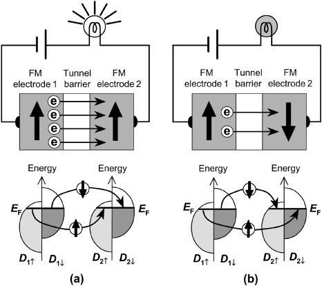 P jest spinową polaryzacją elektrody magnetycznej, D (E F ) oraz D (E F ) oznaczają gęstość stanów na poziomie Fermiego odpowiednio dla nośników większościowych oraz mniejszościowych.