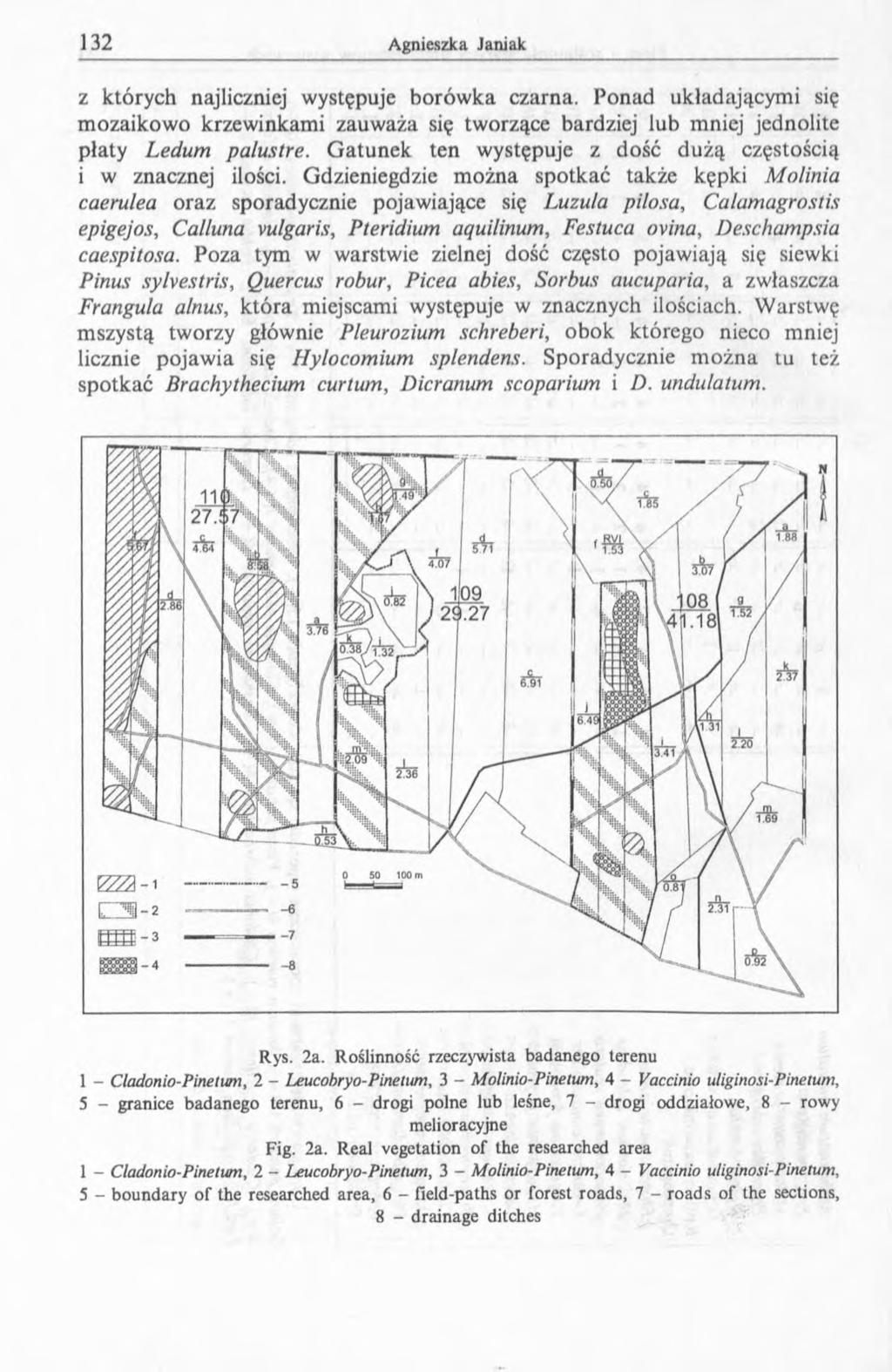 z których najliczniej występuje borówka czarna. Ponad układającymi się mozaikowo krzewinkami zauważa się tworzące bardziej lub mniej jednolite płaty Ledum palustre.