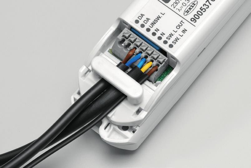 1 Rozłącz połączenie pomiędzy downlight ZOE a