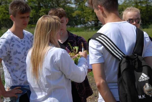 ozimych oraz innych roślin rolniczych i gatunków im towarzyszących.