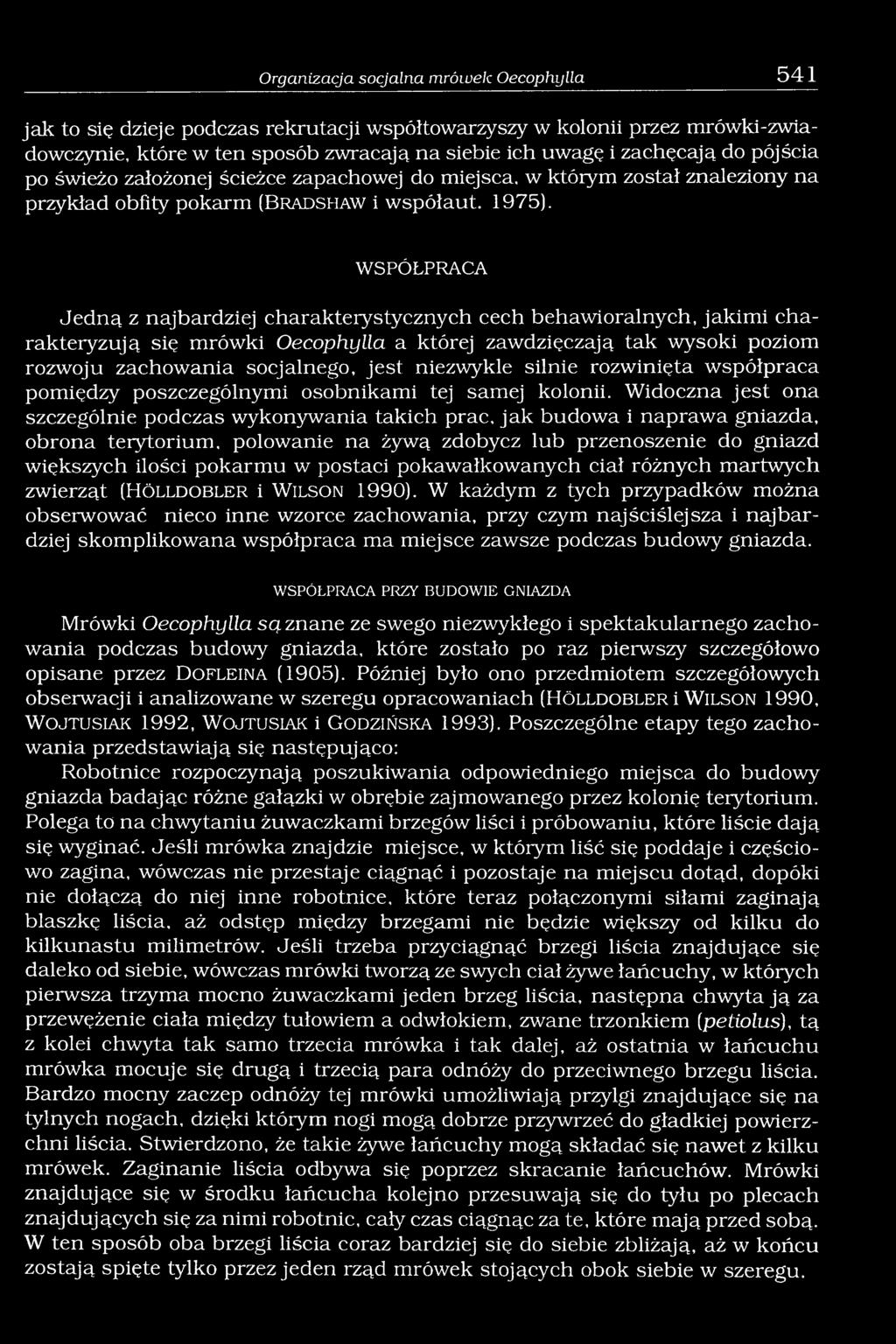 WSPÓŁPRACA Jedną z najbardziej charakterystycznych cech behawioralnych, jakimi charakteryzują się mrówki Oecophylla a której zawdzięczają tak wysoki poziom rozwoju zachowania socjalnego, jest