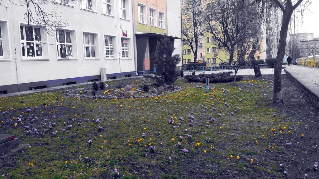 Zauwa y³am, ze prace ogrodnicze sprawiaj¹ uczniom ogromn¹ przyjemnoœæ.