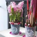 Hiacynty doniczkowe kompozycje kwiatowe na święta Hiacynty są dostępne na rynku