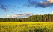 biostymulatorami (zwiększa mieszalność i stabilność roztworu) fungicydów wrażliwych na wysokie ph roztworu insektycydów z grupy fosforoorganicznych oraz neonikotynoidów fungicydów z grupy triazoli