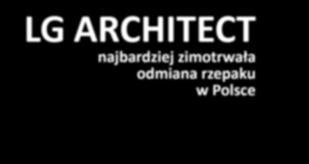 Rejestrowane odmiany rzepaku ozimego muszą charakteryzować się dobrą zimotrwałością nawet w warunkach srogich zim z małą pokrywą śnieżną.