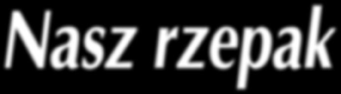 mocny, warto więc stawiać na uprawę rzepaku!