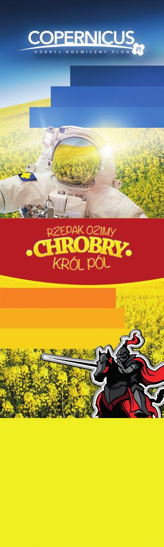 Rzepak ozimy 36 ADAM STĘPIEŃ Krajowa Izba Biopaliw Polskie Stowarzyszenie Producentów Oleju Postęp prac na forum unijnym w zakresie nowej dyrektywy mającej określić ramy dla branży do 2030 roku