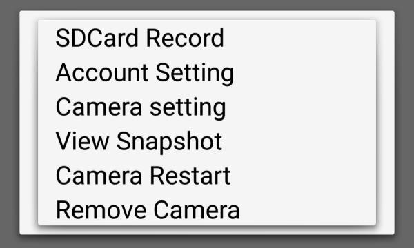 Opcje kamery Kliknij na ikonę koła zębatego po prawej stronie nazwy kamery (widok listy): Zostanie wyświetlona lista opcji: SDCard Record podgląd