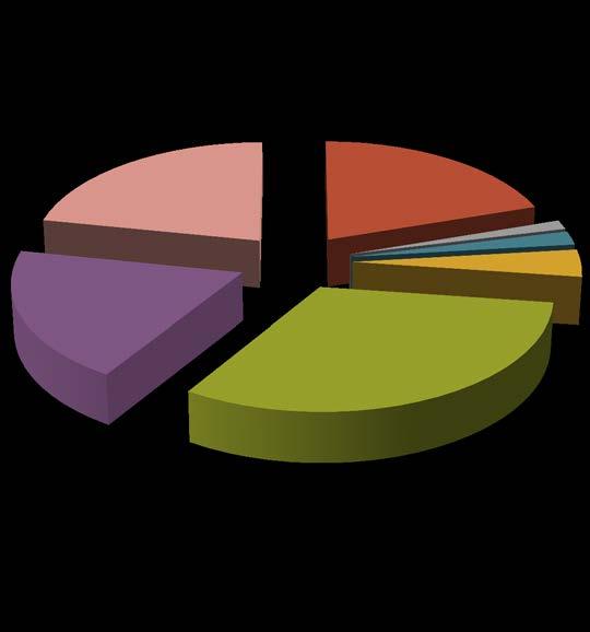 Charakterystyka praktyki kształtowania umów o pośrednictwo (3) wynagrodzenie agenta 22% 20% 1% 2% zakaz