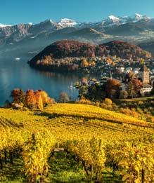 Prowadzi przez miasta i wioski o brzmią cych znajomo nazwach: Montreux, Gruyè res, Gstaad oraz Spiez i dociera do najpię