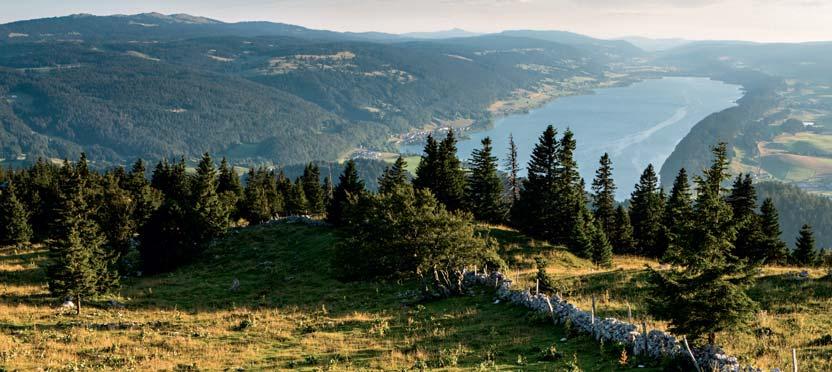 Park Naturalny, Lac de Joux Switzerland Tourism/Roland Gerth Rowerem przez Jurę.