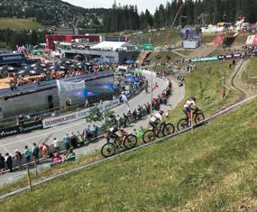Wszystko w dolinie, u stóp majestatycznych szczytów Eiger i Wetterhorn. www.eigerbike.